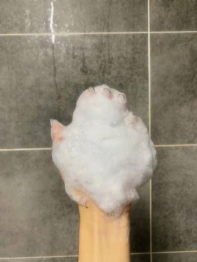 IMG_3638.jpeg
