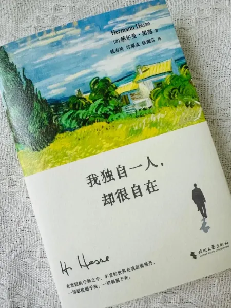 这本书拯救了我的精神内耗！黑塞的田园日记太治愈了