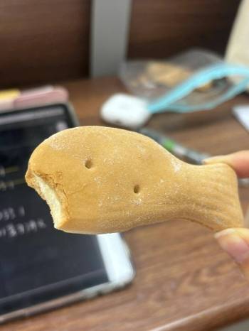 这山东巧饼的样子，怎么不算是人类猫粮呢