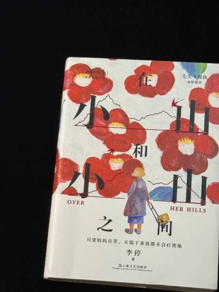 我真的很不懂“妈妈”《在小山和小山之间》