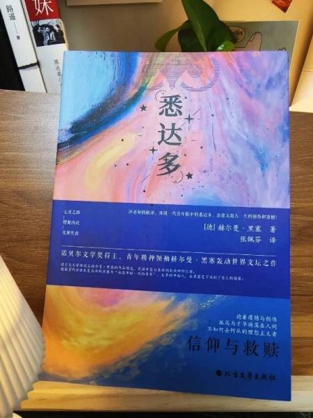 豆瓣评分9.2，这本书让我学会了摆烂式上进
