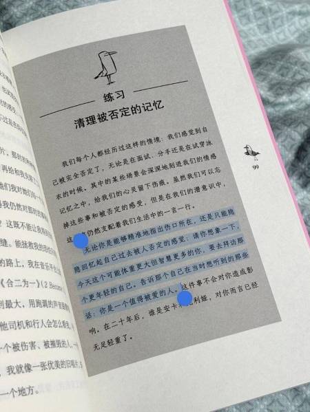 《海鸥才不管那么多》写给不擅长拒绝的我们