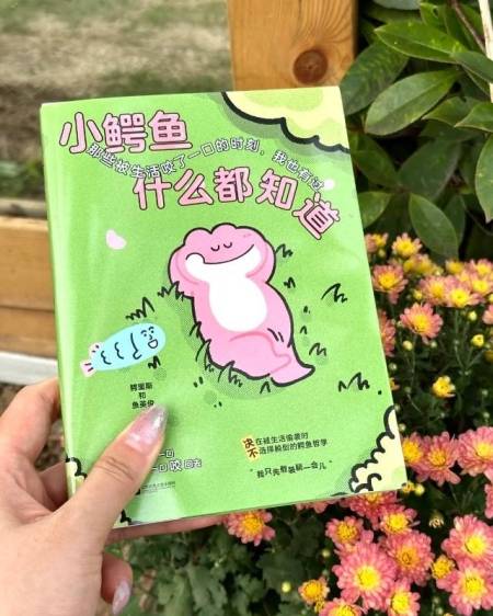 我今年读过最治愈，超级恢复能量的书