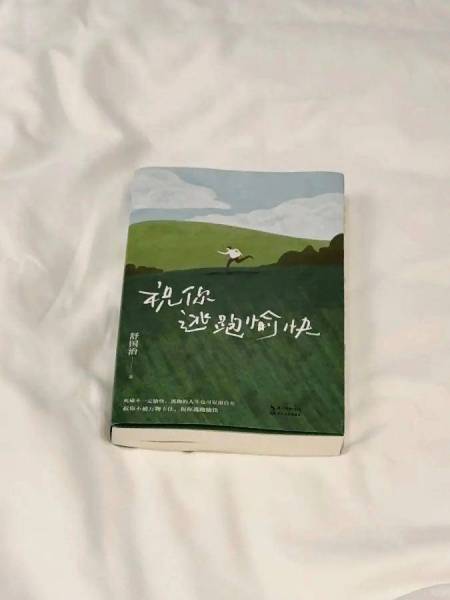 出差看这本，真的是一场情绪逃跑