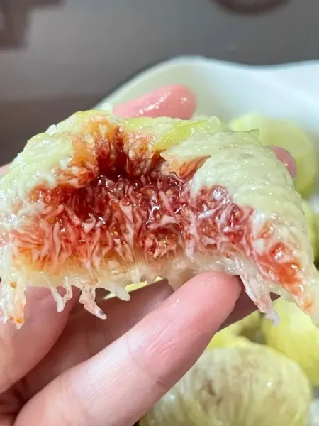 如果我有机会种一棵树，那一定是无花果树