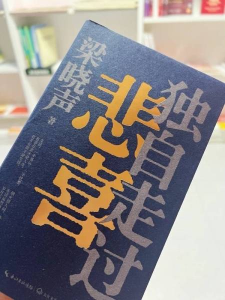 独自走过悲喜，从名字上就很清醒的一本书